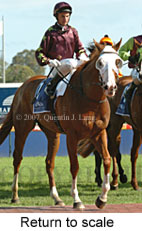 Return to scale (15361 bytes)