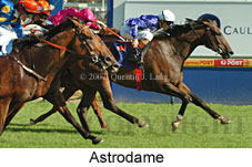 Astrodame (14872 bytes)