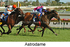 Astrodame (14872 bytes)