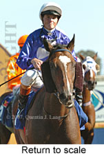 Return to scale (15361 bytes)