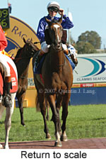 Return to scale (15361 bytes)