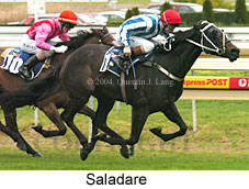 Saladare (18850 bytes)