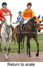 Return to scale (12747 bytes)