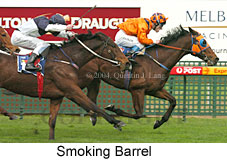 Smoking Barrel (18850 bytes)