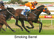 Smoking Barrel (16400 bytes)