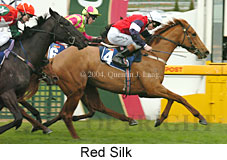 Red Silk (16716 bytes)