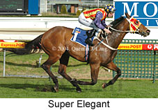 Super Elegant (19286 bytes)