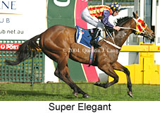 Super Elegant (18074 bytes)