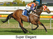 Super Elegant (19139 bytes)