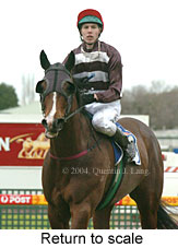 Return to scale (12813 bytes)