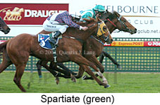 Spartiate (17074 bytes)