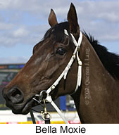 r1bellamoxie3.jpg (10482 bytes)