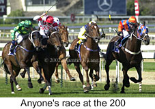 r2race.jpg (19400 bytes)