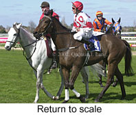 r2rtosc.jpg (14529 bytes)