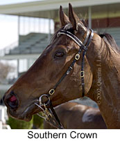 r2southerncrown4.jpg (12011 bytes)