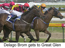 r3delagobrom2.jpg (16657 bytes)