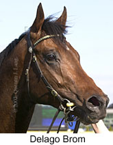 r3delagobrom3.jpg (11042 bytes)