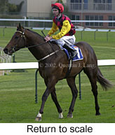 r3rtosc.jpg (12252 bytes)