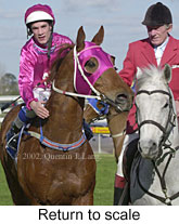 r5rtosc.jpg (15584 bytes)