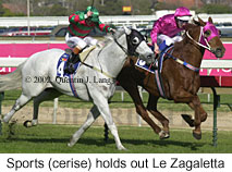 r5sports2.jpg (17463 bytes)