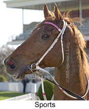 r5sports3.jpg (12539 bytes)