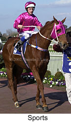 r5sports4.jpg (15527 bytes)