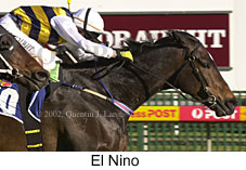 r6elnino2.jpg (15722 bytes)