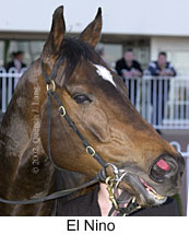 r6elnino3.jpg (12679 bytes)