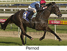 r7pernod.jpg (18119 bytes)