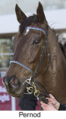 r7pernod3.jpg (10482 bytes)