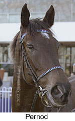 r7pernod4.jpg (10242 bytes)