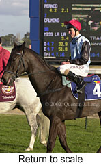 r7rtosc.jpg (15796 bytes)