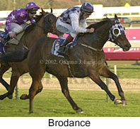 r8brodance2.jpg (15399 bytes)