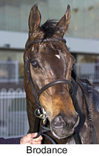 r8brodance3.jpg (10905 bytes)