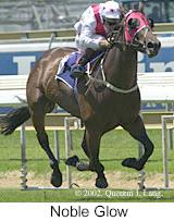 r1nobleglow.jpg (10147 bytes)