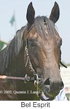 r2belesprit2.jpg (7659 bytes)