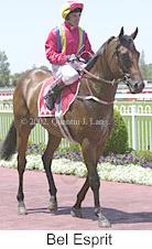 r2belesprit3.jpg (9489 bytes)