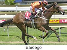 r3bardego.jpg (11932 bytes)