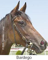 r3bardego2.jpg (7931 bytes)