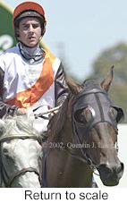 r4rtosc.jpg (8430 bytes)