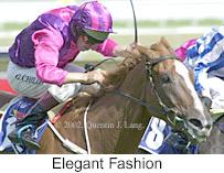 r5elegantfashion.jpg (10620 bytes)
