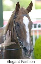 r5elegantfashion2.jpg (8049 bytes)