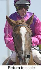 r5rtosc.jpg (9388 bytes)