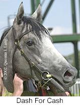 r6dashforcash2.jpg (8905 bytes)