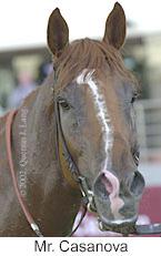 r8mrcasanova2.jpg (7826 bytes)