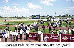 strike.jpg (12660 bytes)