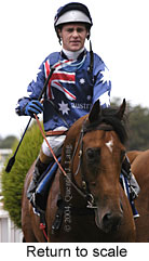 Return to scale (12613 bytes)