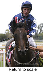 Return to scale (12640 bytes)