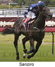 Sanziro (14967 bytes)