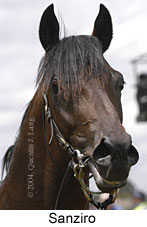 Sanziro (9790 bytes)